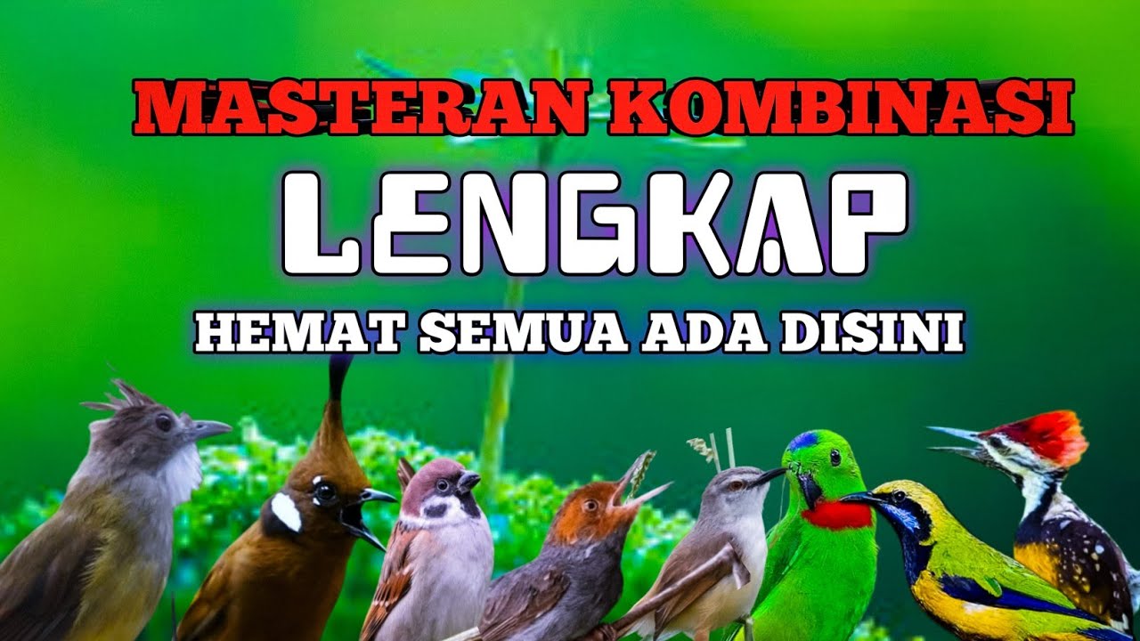 2 jam materan lengkap hemat puluhan juta full materi mewah cocok untuk isian #masteranmuraibatu