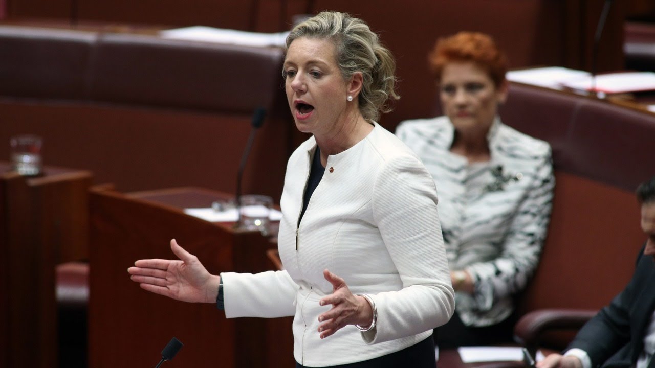 Political activist booted from parliament for 'inappropriate' slur on McKenzie