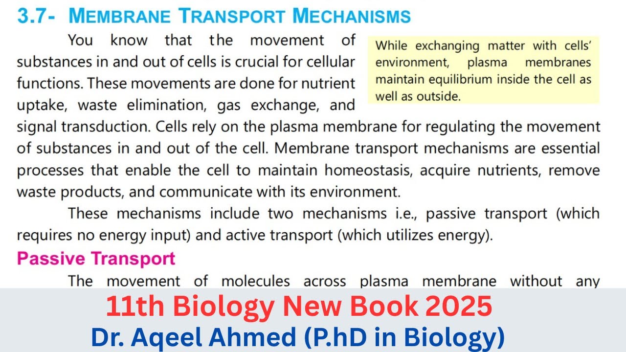 Membrane Transport Mechanisms | 11th Biology New Book 2025 | Topic 3.7 | Chapter 3