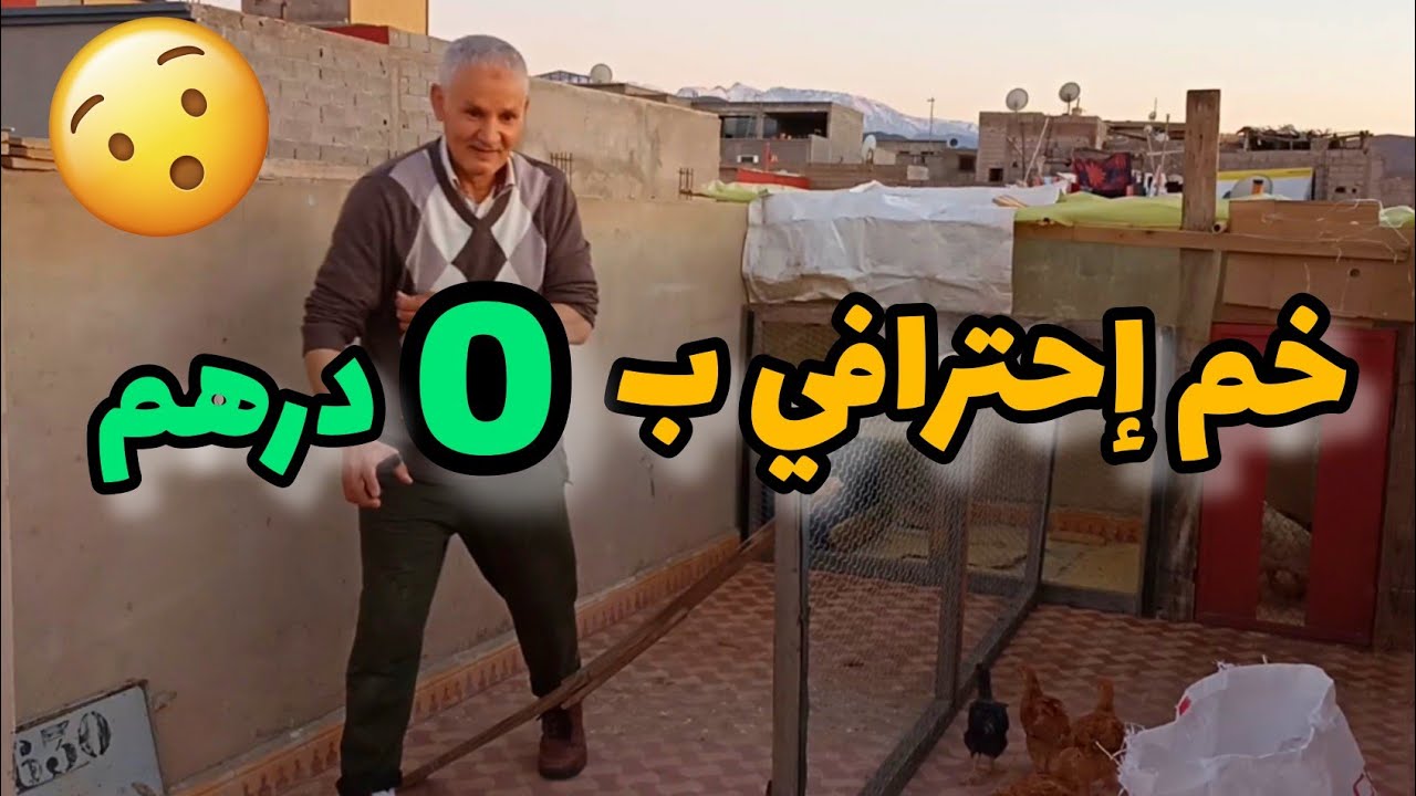 بناء خم دجاج بطريقة إحترافية ب0درهم 😯😯🐓⚒️