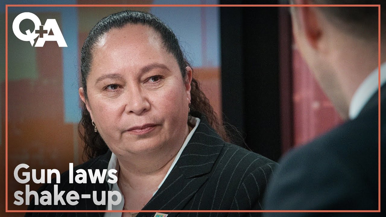 Nicole McKee wants gun law changes. Will it make NZ safer? | Q+A 2024
