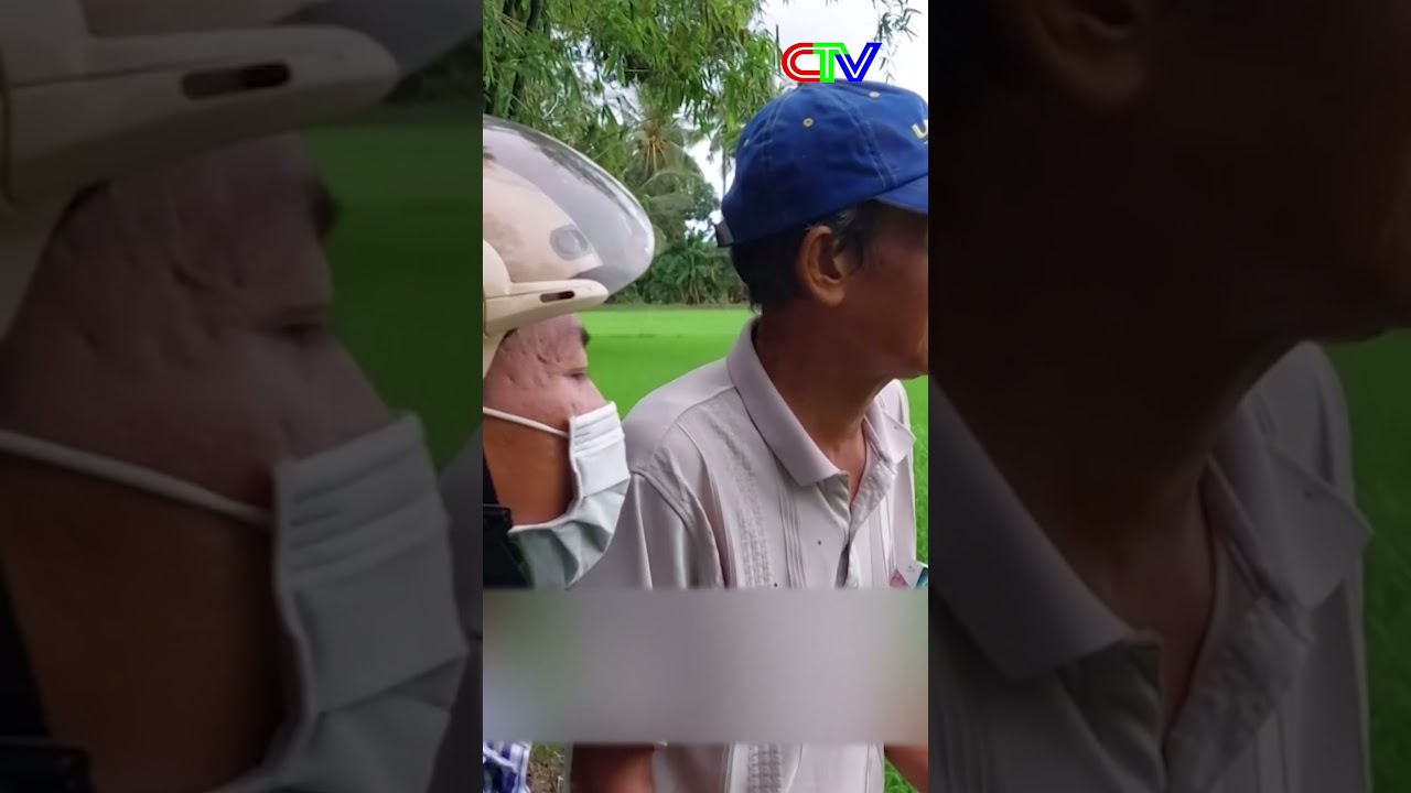 HUYỆN TRẦN VĂN THỜI XUỐNG GIỐNG DỨT ĐIỂM VỤ L&Uacute;A H&Egrave; THU.