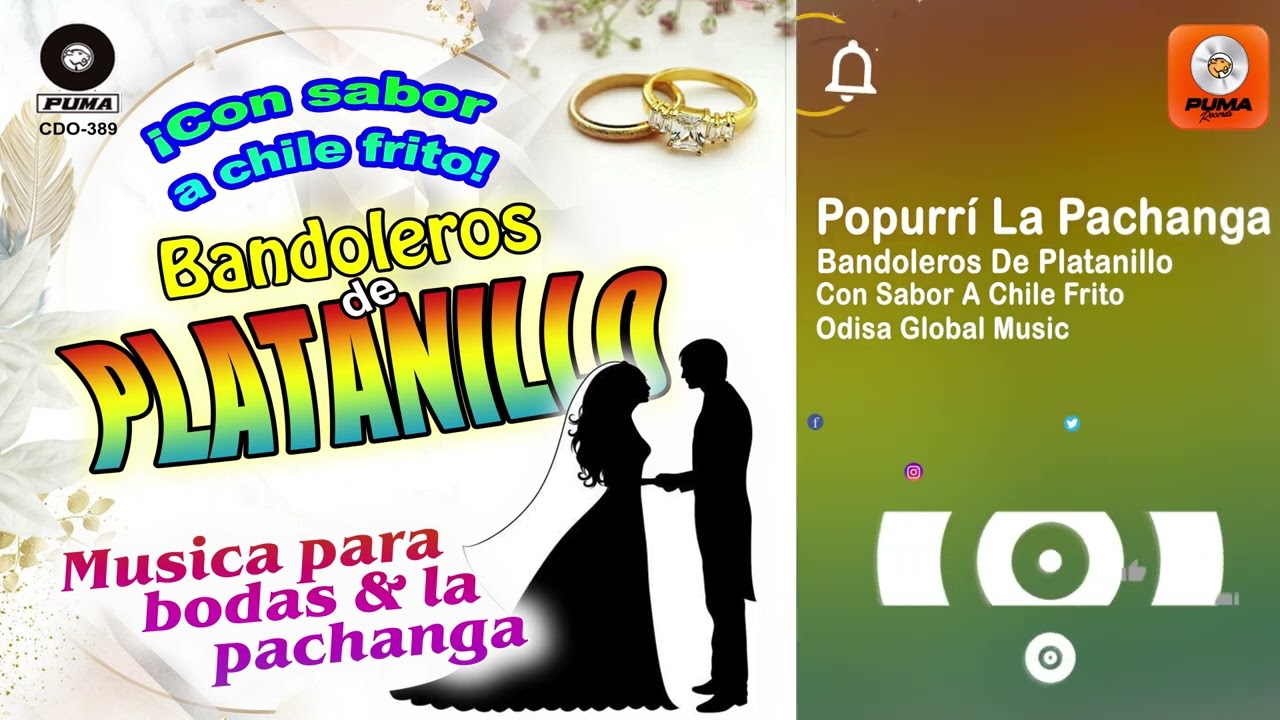 Popurrí La Pachanga - Los Bandoleros De Platanillo - Música Para Bodas Y Pachanga - OGM