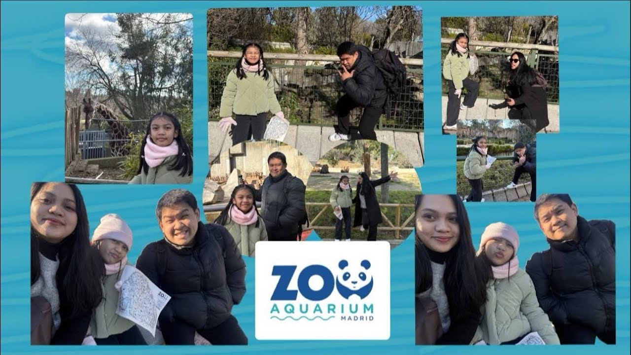 Learning Something New at the Zoo || Funday , Famday 🐻🐼🐨
