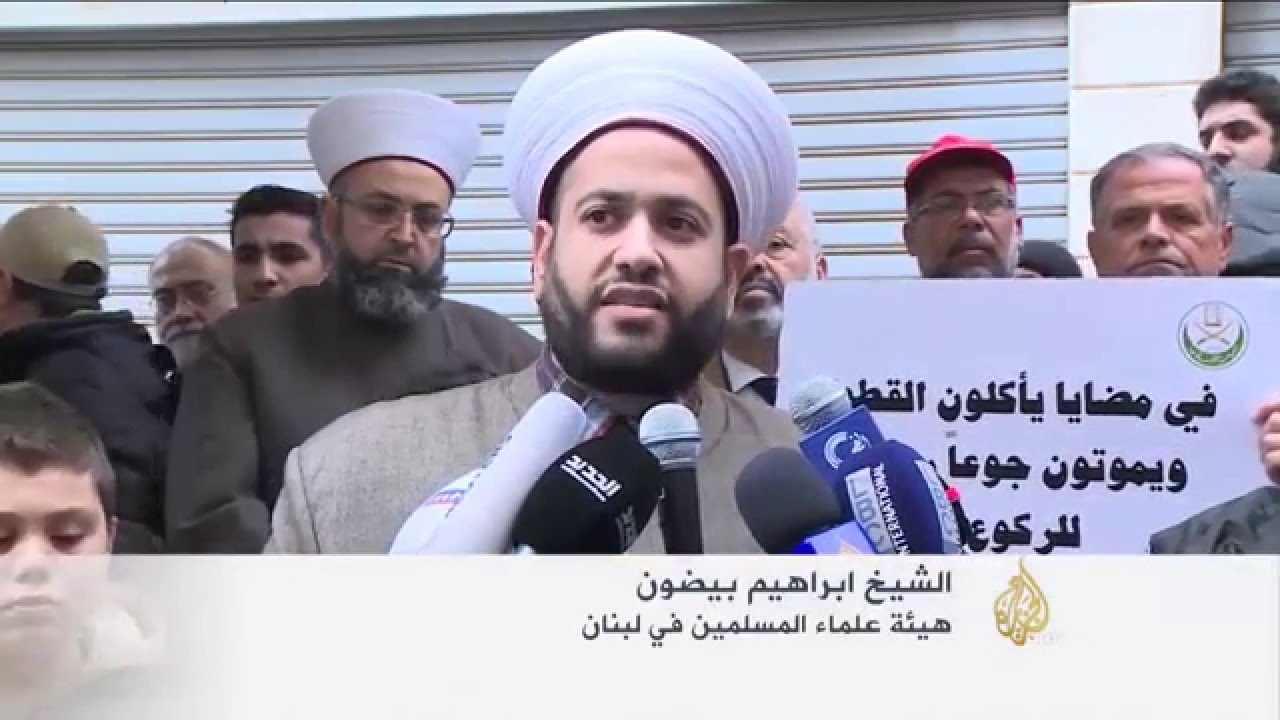 مئات المتظاهرين اللبنانيين يتضامنون مع بلدة مضايا