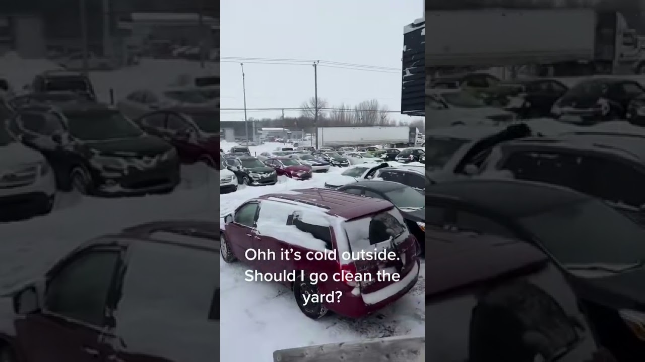 Monday be like in Quebec 🥶❄️☃️ #monday#snow#automobile#quebec#yard
