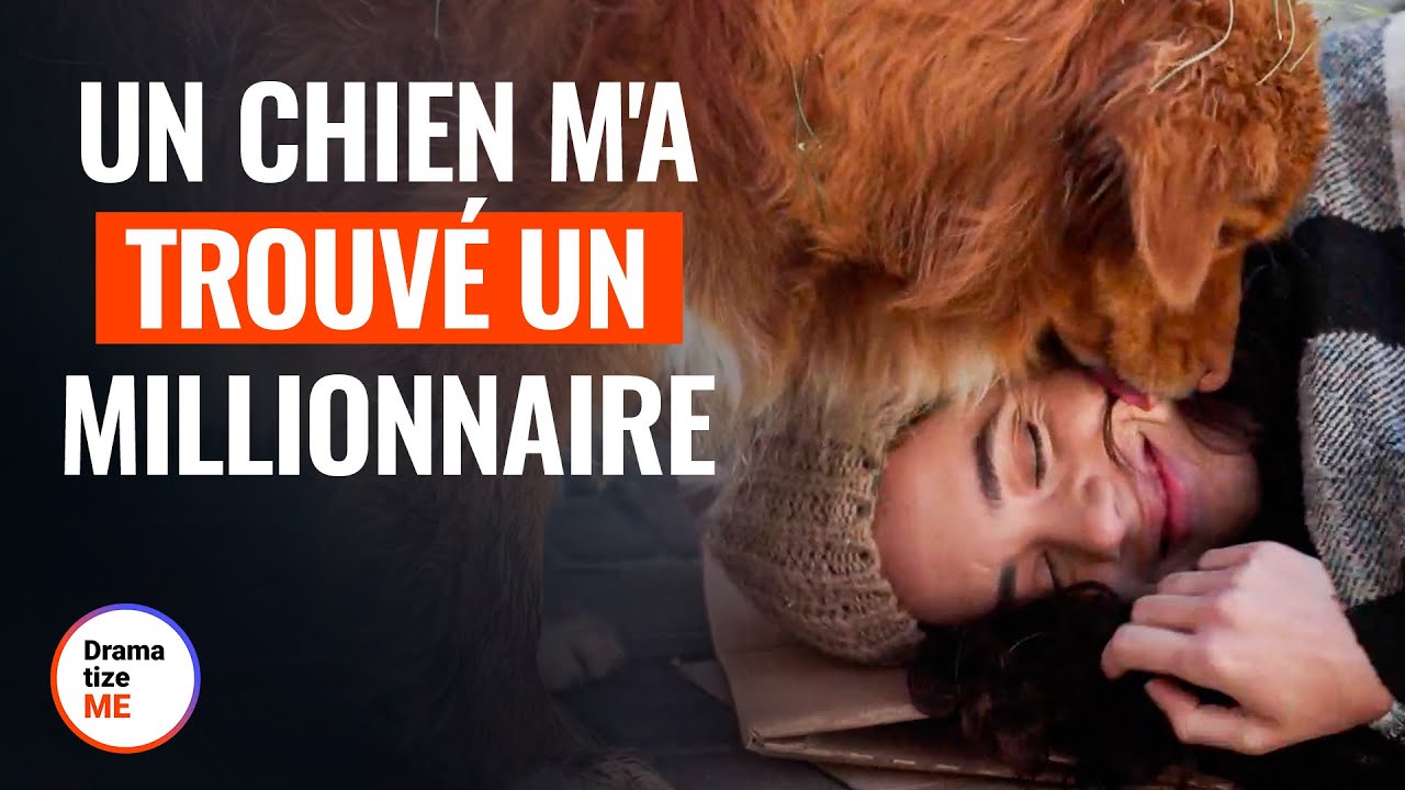 Un Chien M'A Trouvé Un Millionnaire | @DramatizeMeFrance