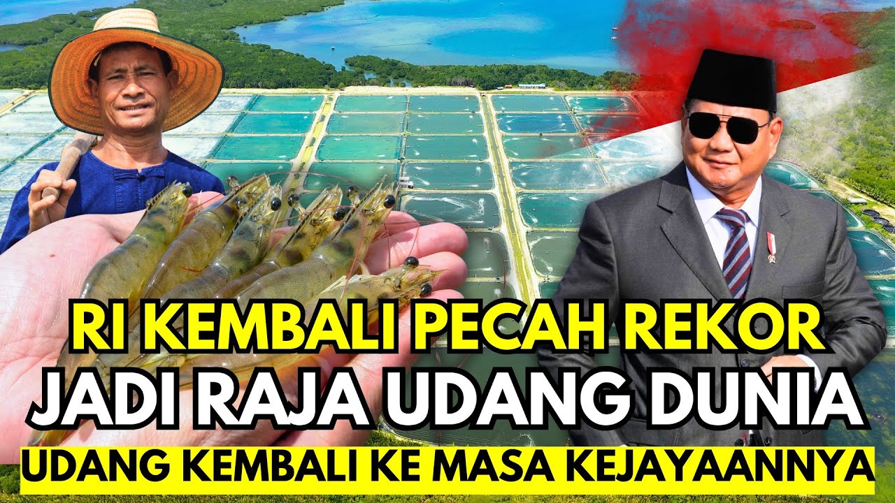 Diam-Diam Menggila! Ekspor Udang Indonesia Tembus Miliaran Dolar