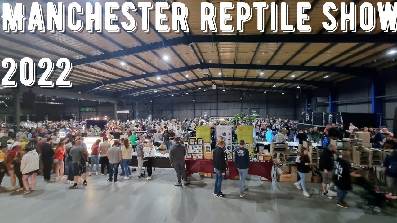 Выставка рептилий IHS Manchester 2022