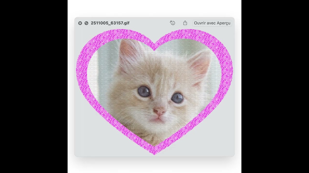 set de la saint valentin avec ziz