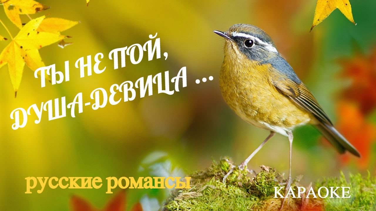 ТЫ НЕ ПОЙ, ДУША-ДЕВИЦА