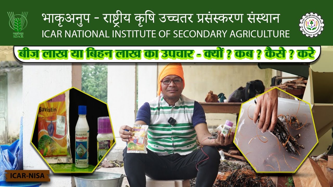 बीज लाख या बिहन लाख का उपचार - क्यों ? कब ? कैसे ? करे | ICAR-NISA ||
