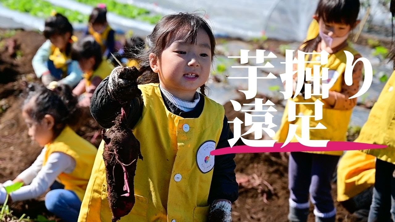 はぁもにぃ保育園芋掘り遠足