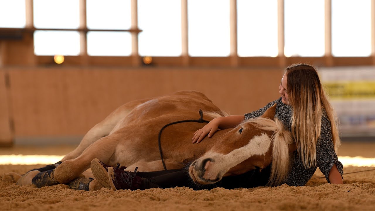 Unsere Shows auf der BONDA Ranch