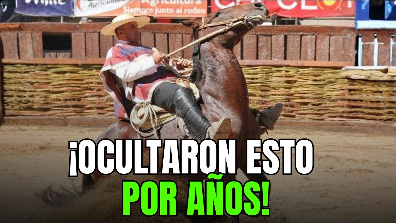 Los Misterios De El Caballo Chileno 7 mitos que te sorprenderán
