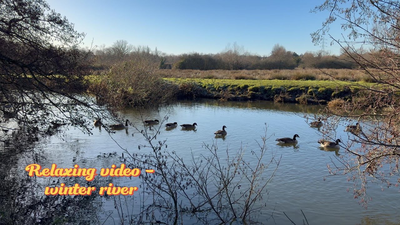 Relaxing video - river in winter