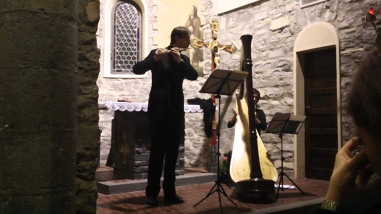 Satie: Gymnopedie n. 1 for flute and harpe - S. Zampetti, fl M. Pettoni, ha