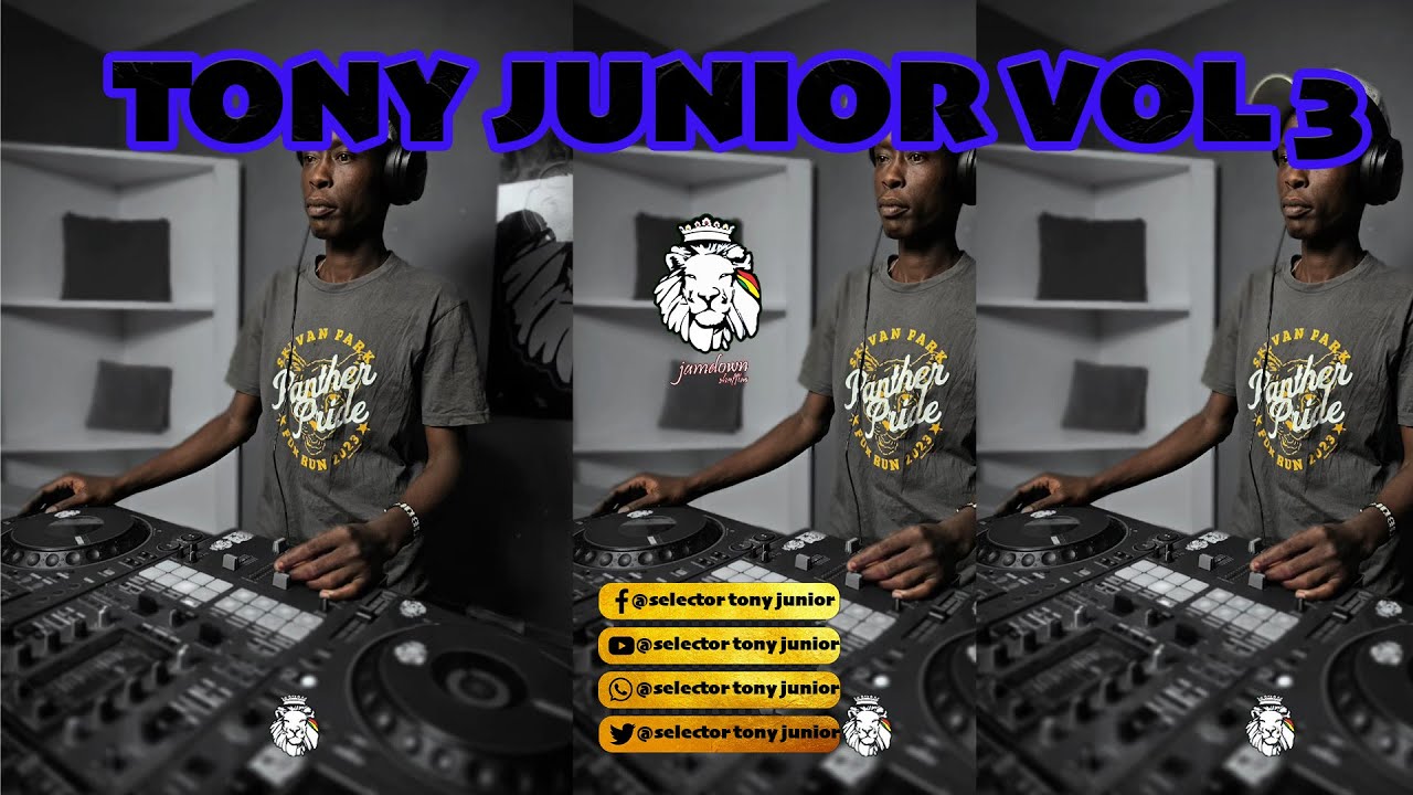 TONY JUNIOR REGGEA DUB VOL 3
