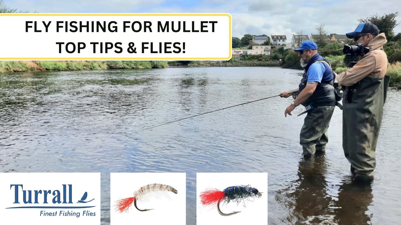 Fly Fishing for Mullet: Best flies and tips!
