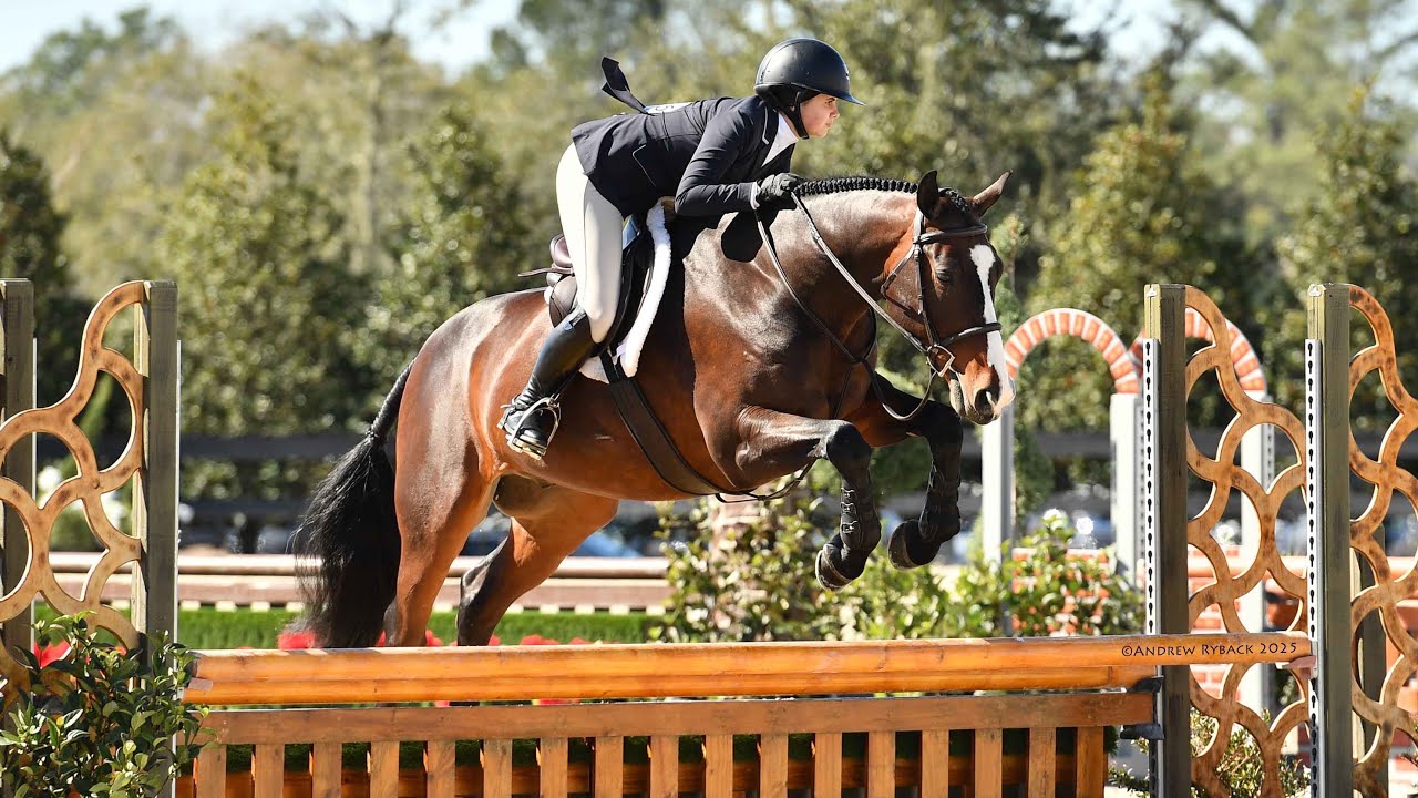 Emersen Ripley & Jack The Lad THIS 3rd place finish score 85