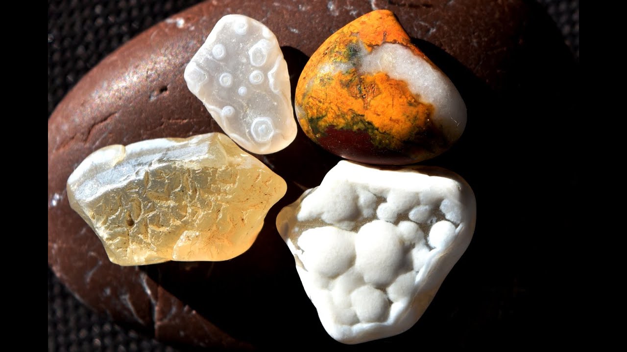Beach, agates, fossils, and a cautionary tale.