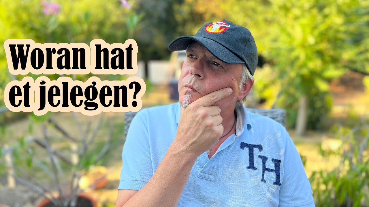 DGM 2022 | Mein pers&ouml;nliches Fazit aus Sicht des Grillteams Spranta BBQ | Ingo BBQ Folge 121