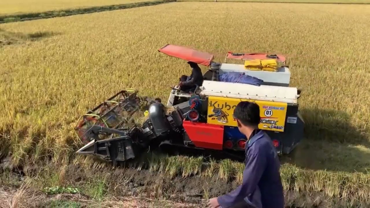 បែបសាបៗ Tractor 🚜 DC Kubota Tractor 