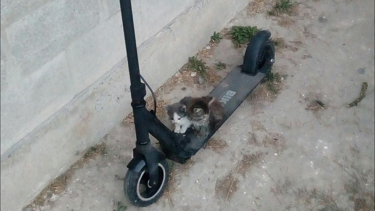 А він швидкий.Відновлюємо електросамокат