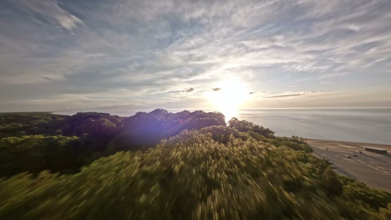 Warren Dunes State Park by FPV drone