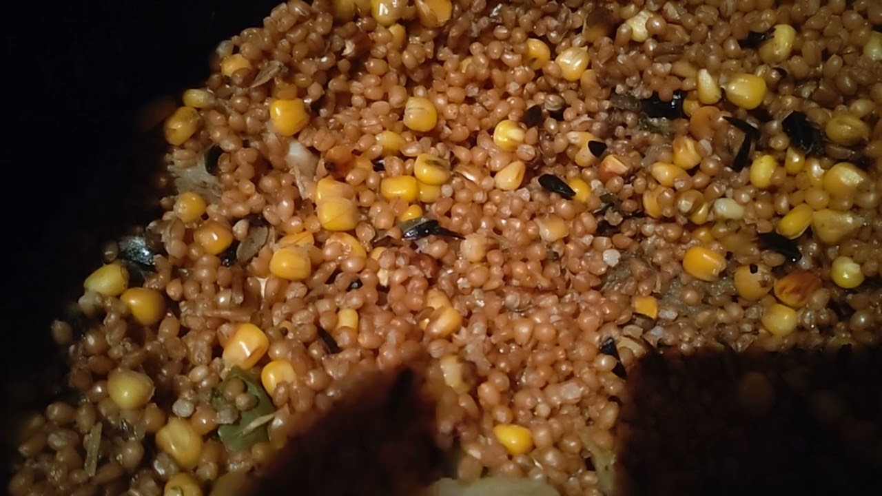 Люцерна 2, корм летом для нутрий, ответ подписчику!