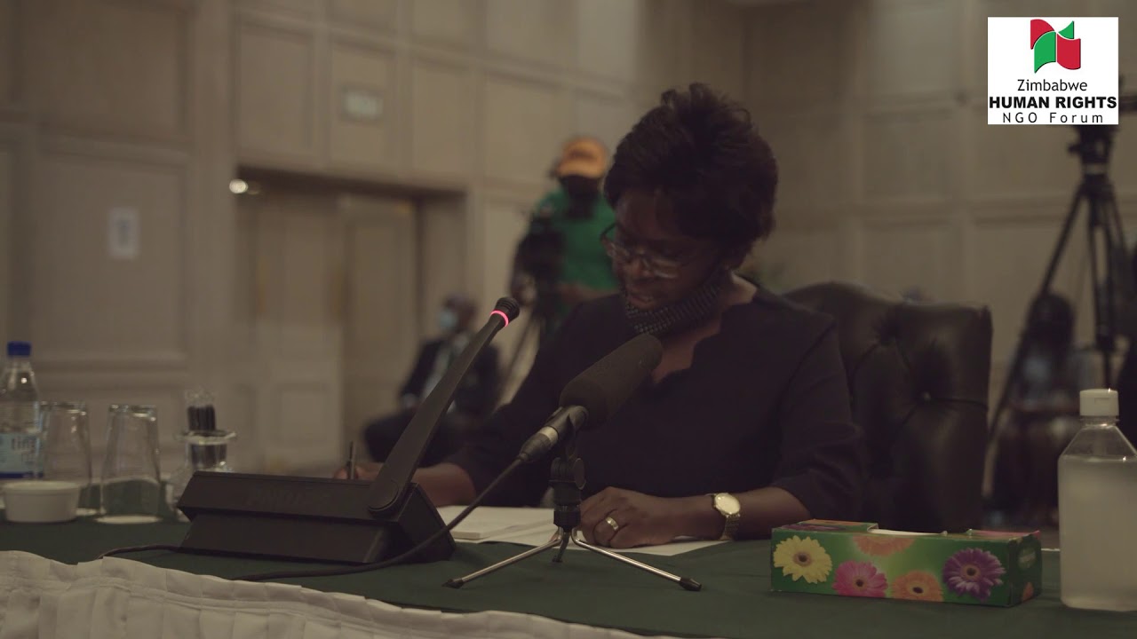 Constitutional Court Judges Public Interviews, Hon Justice Anne Mary Gowora