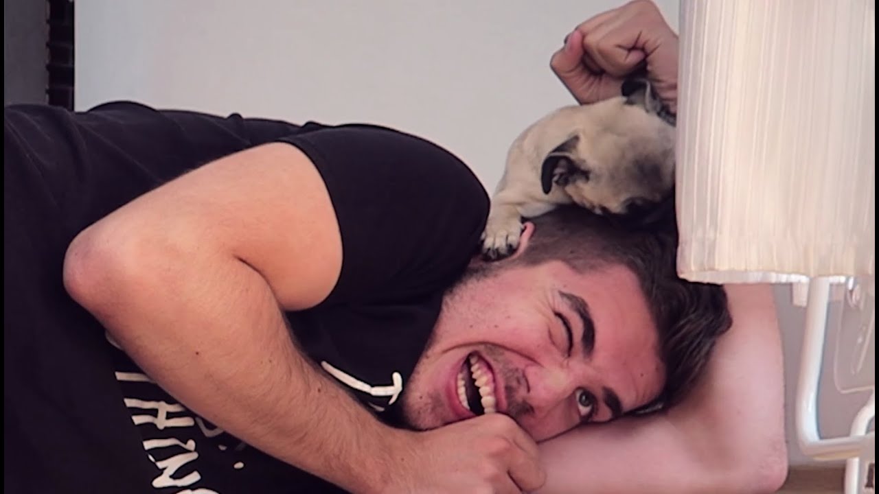 STRÁŽIM LILI!