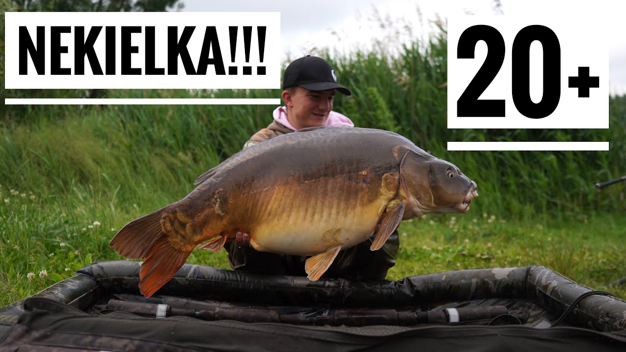 PORA NA ŁOWISKO NEKIELKA!!! - PONAD 30 BRAŃ!!! - Wędkarstwo Karpiowe