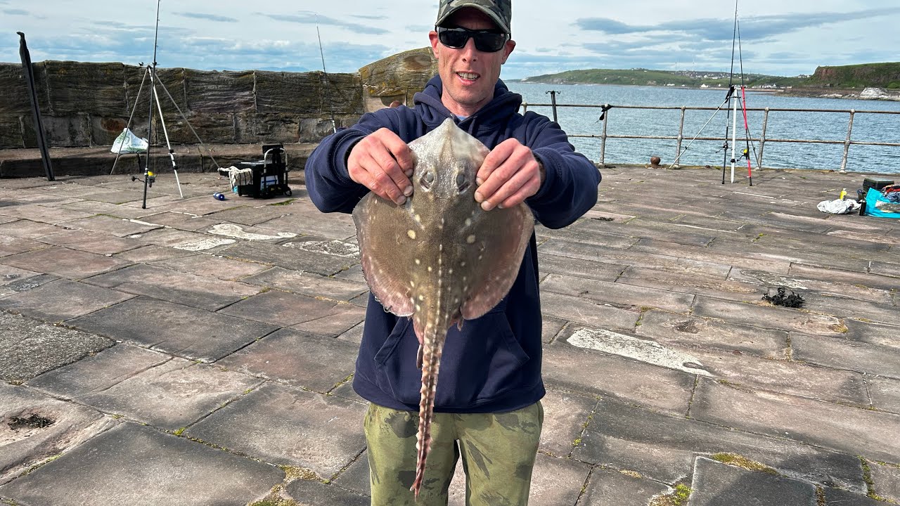 Fishing Whitehaven west pier 2