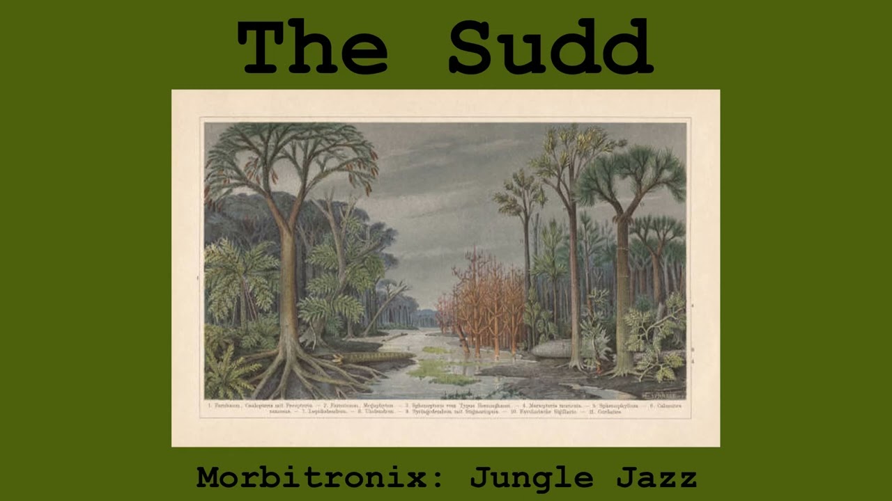 The Sudd