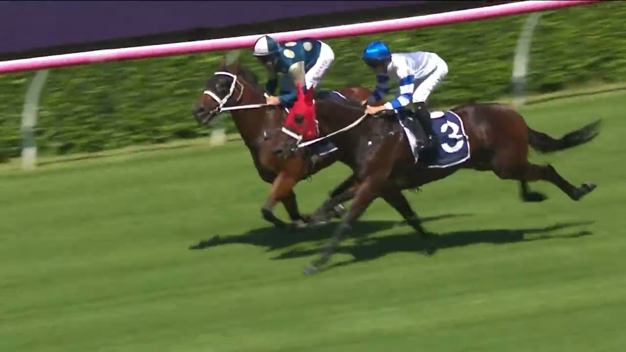 Buckaroo, Kovalica and Autumn Glow | Randwick Exhibition Gallop | 13 March 2025