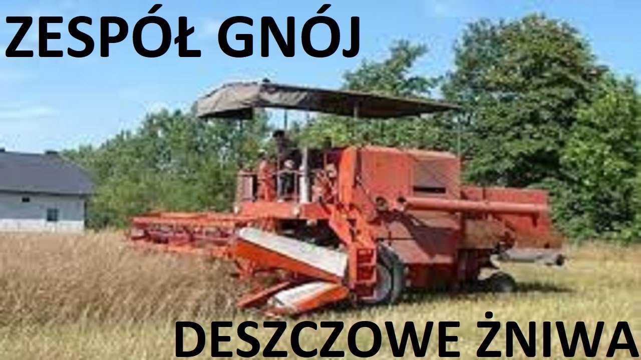 Zespół Gnój - DESZCZOWE ŻNIWA / █▬█ █ ▀█▀ DISCO W POLU 2023