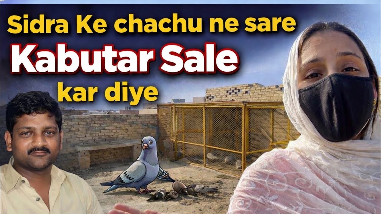 Sidra Ke Chachu ne Kyu sale kiye Kabutar ? @Rizwansidravlogs 
