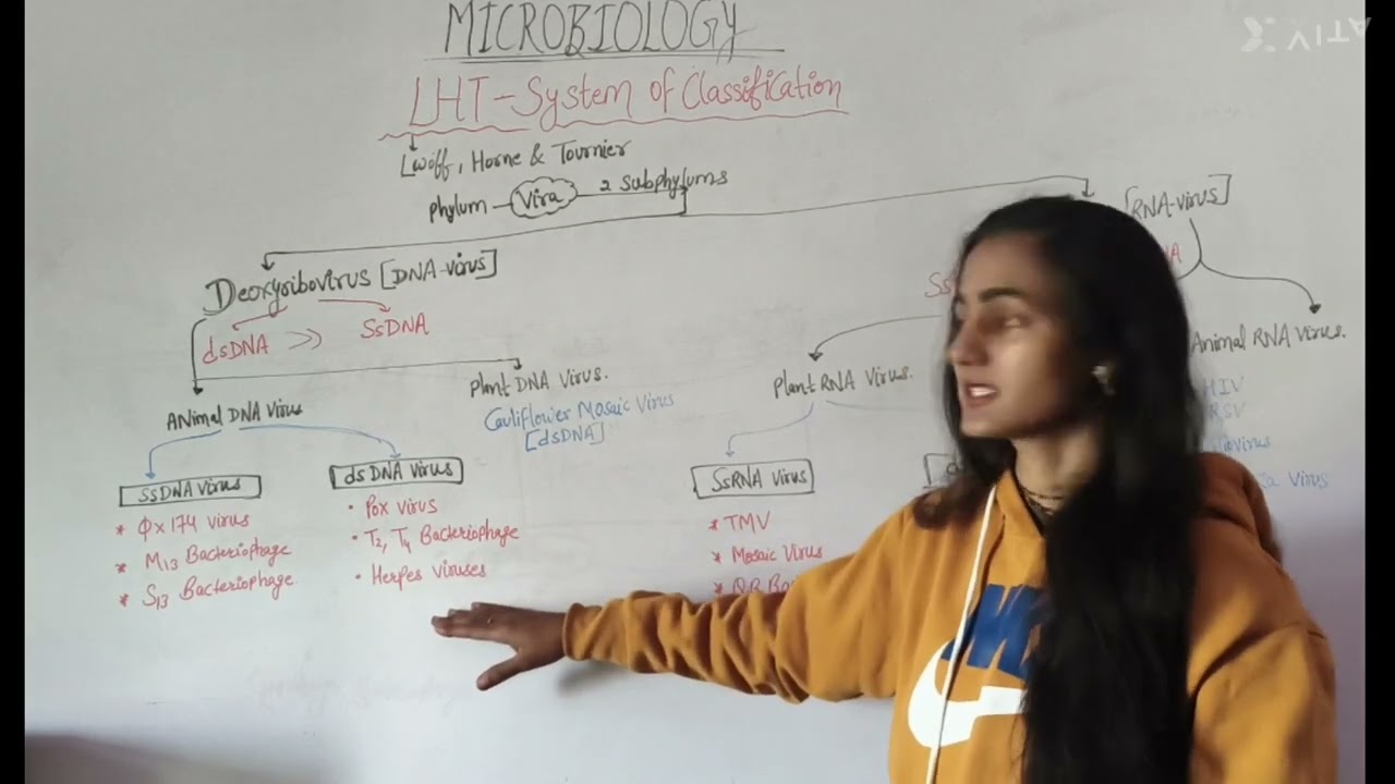 VIRUS 🦠/microbiology/zoology/m.sc/b.sc/competitive exam/ science 
