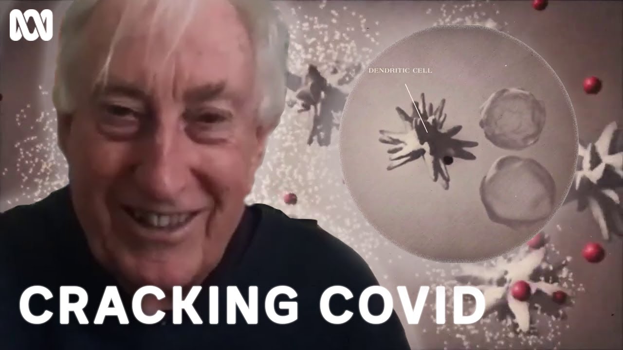 The Adaptive Immune System | Cracking COVID