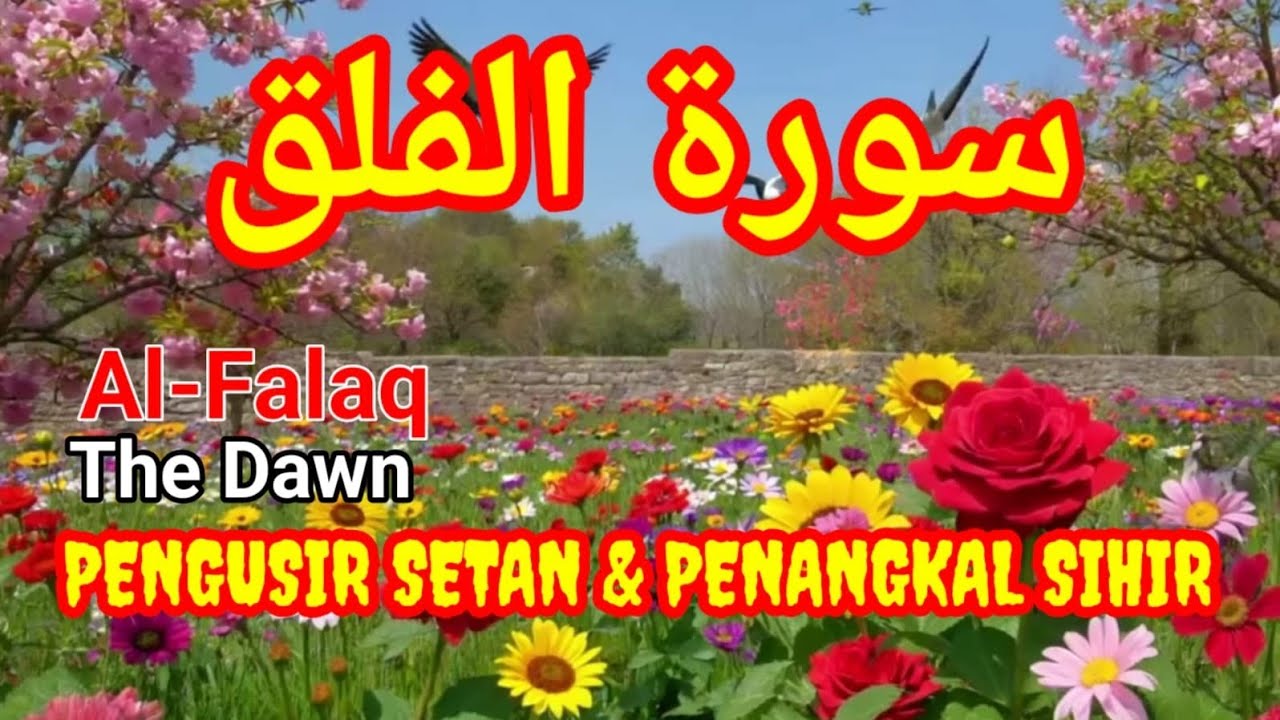 🔴MERDU ‼️Surat Al Falaq PENANGKAL SIHIR DAN PELINDUNG DIRI DARI KEJAHATAN #quran #ayatulkursi 