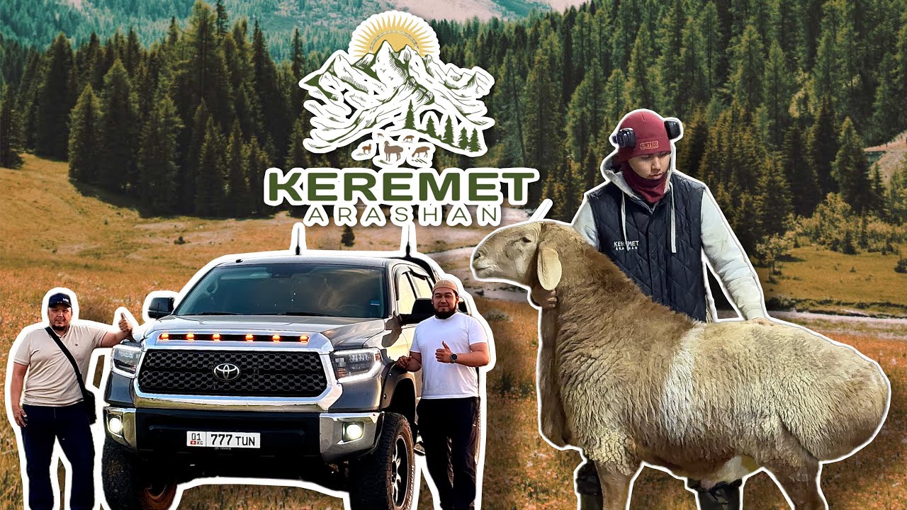 Керемет чарбасы +996 706 320 144 #arashan #2025 