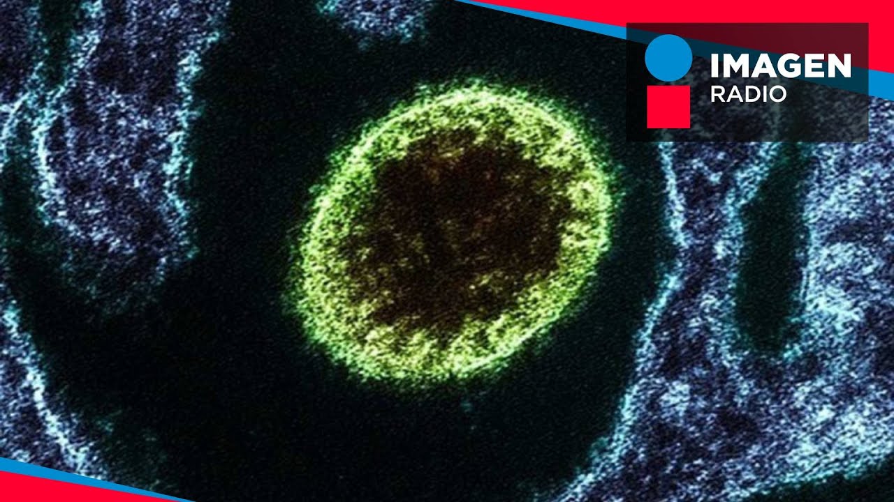 ¿Qué es y de dónde viene el virus Langya?