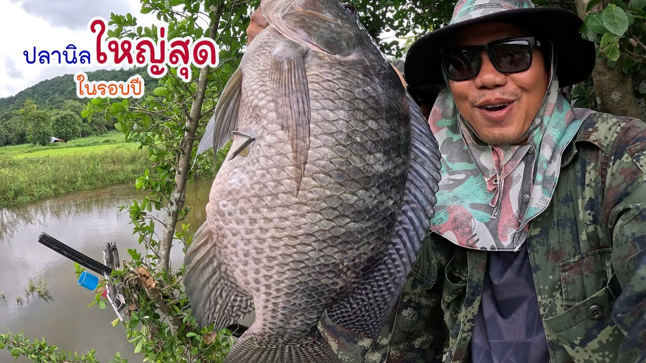 ปลานิลใหญ่สุดในรอบปี ออกหมานกับพรานนนท์หมานตลอด
