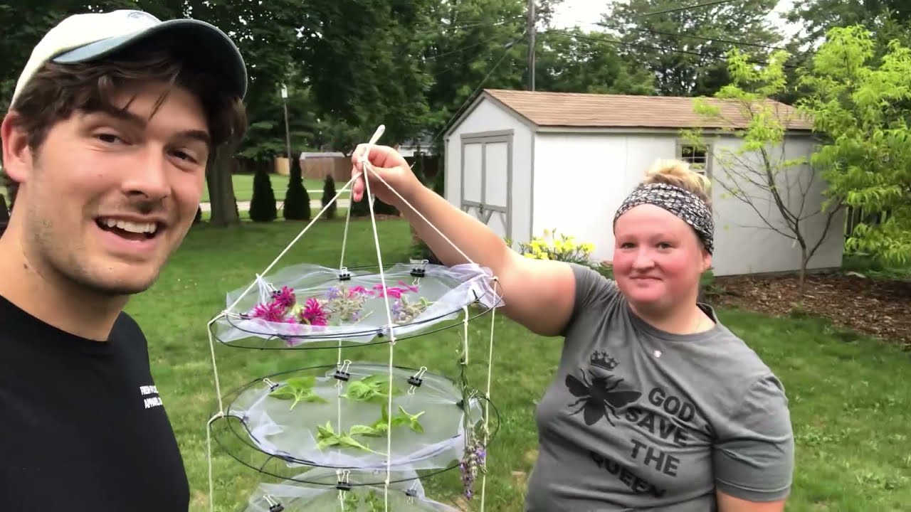 How to Build a 3 Tier Hanging Herb Drying Rack (SUPER SIMPLE)