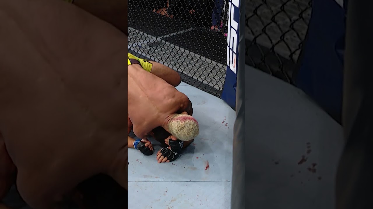 Одно из САМЫХ ЖЕСТОКИХ добиваний в истории UFC от Фигейредо!! 😨#ufcabudhabi