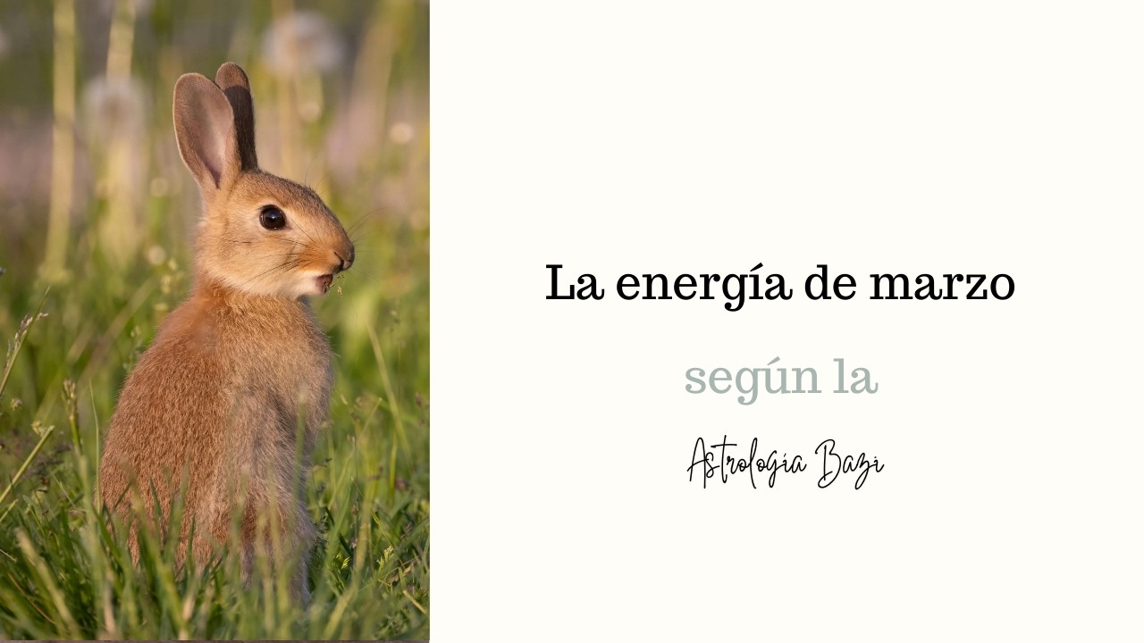 La energía de marzo (astrología BaZI)| Episodio 237 de Verde Menta