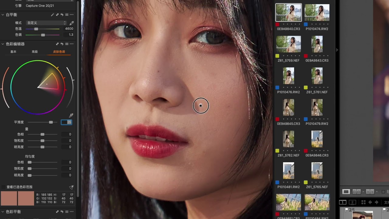 【布瞎BB】Capture One对比Lightroom更专业更好用吗？中篇