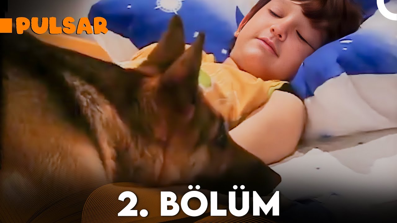 Pulsar 2. B&ouml;l&uuml;m
