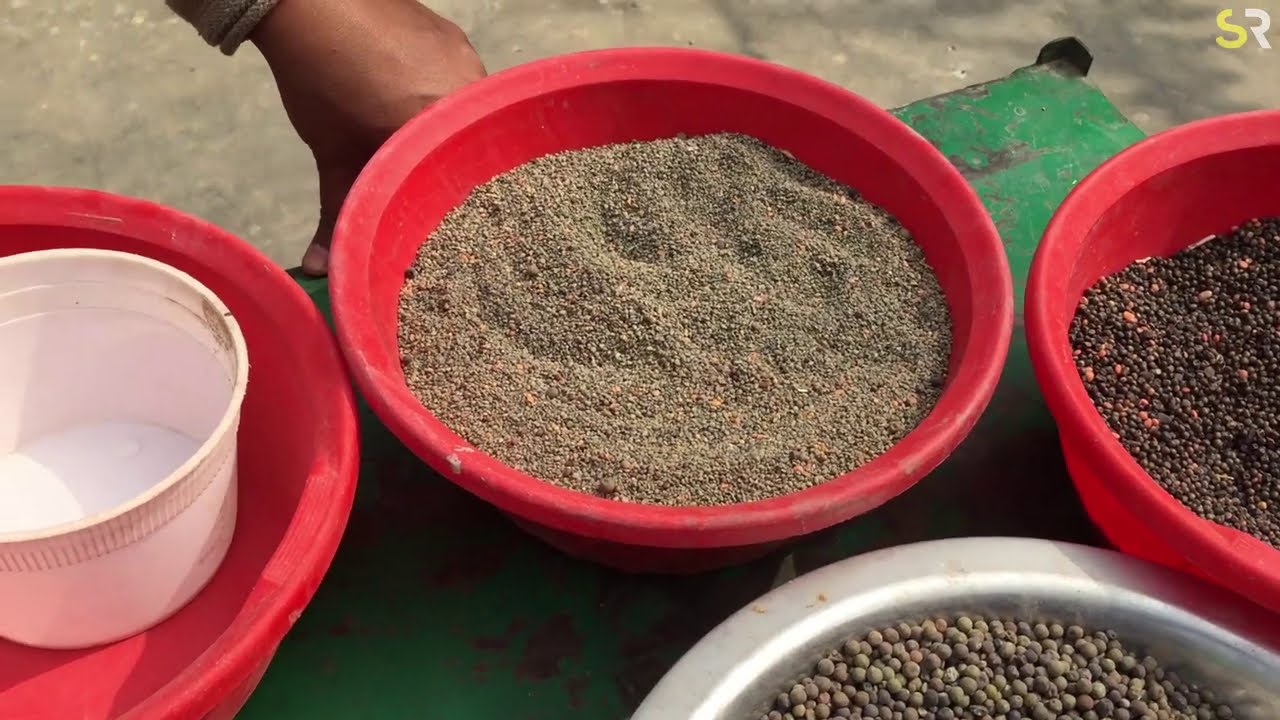 এই শীতে ব্রিডিং কবুতরের যত্ন
